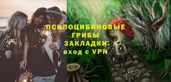 гашик Заводоуковск