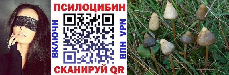Галлюциногенные грибы MAGIC MUSHROOMS  где продают наркотики  Сельцо 