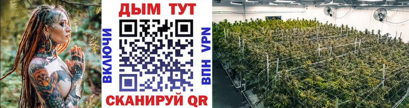 МАРИХУАНА MAZAR  купить наркотик  mega как зайти  Сельцо 